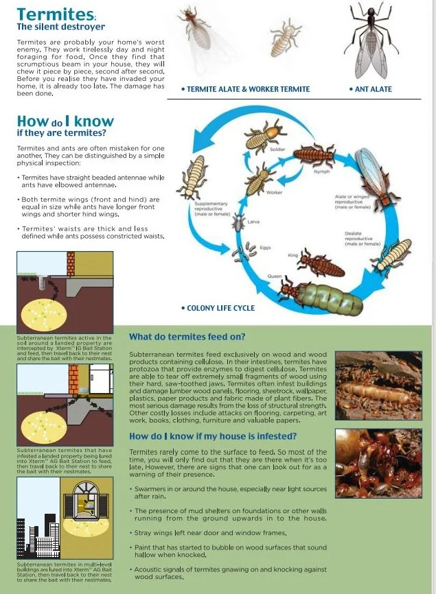 Xterm Termite Baiting System