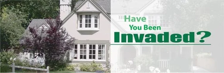Have You Been Invaded